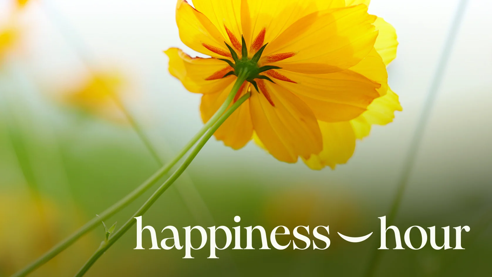 happiness-hour-5