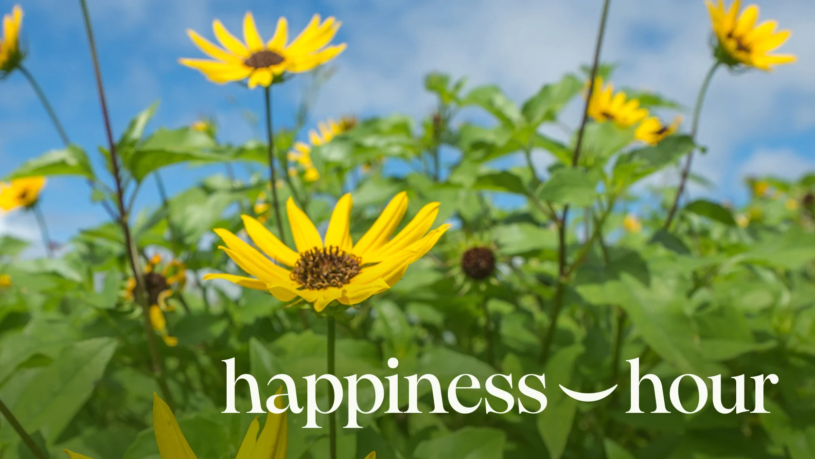 happiness-hour-2