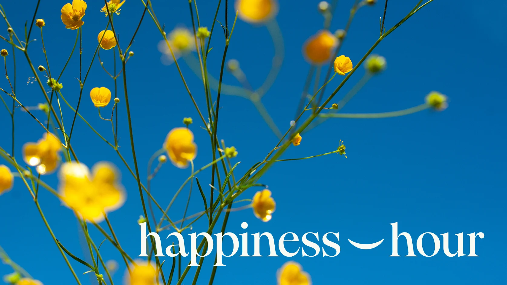 happiness-hour-1