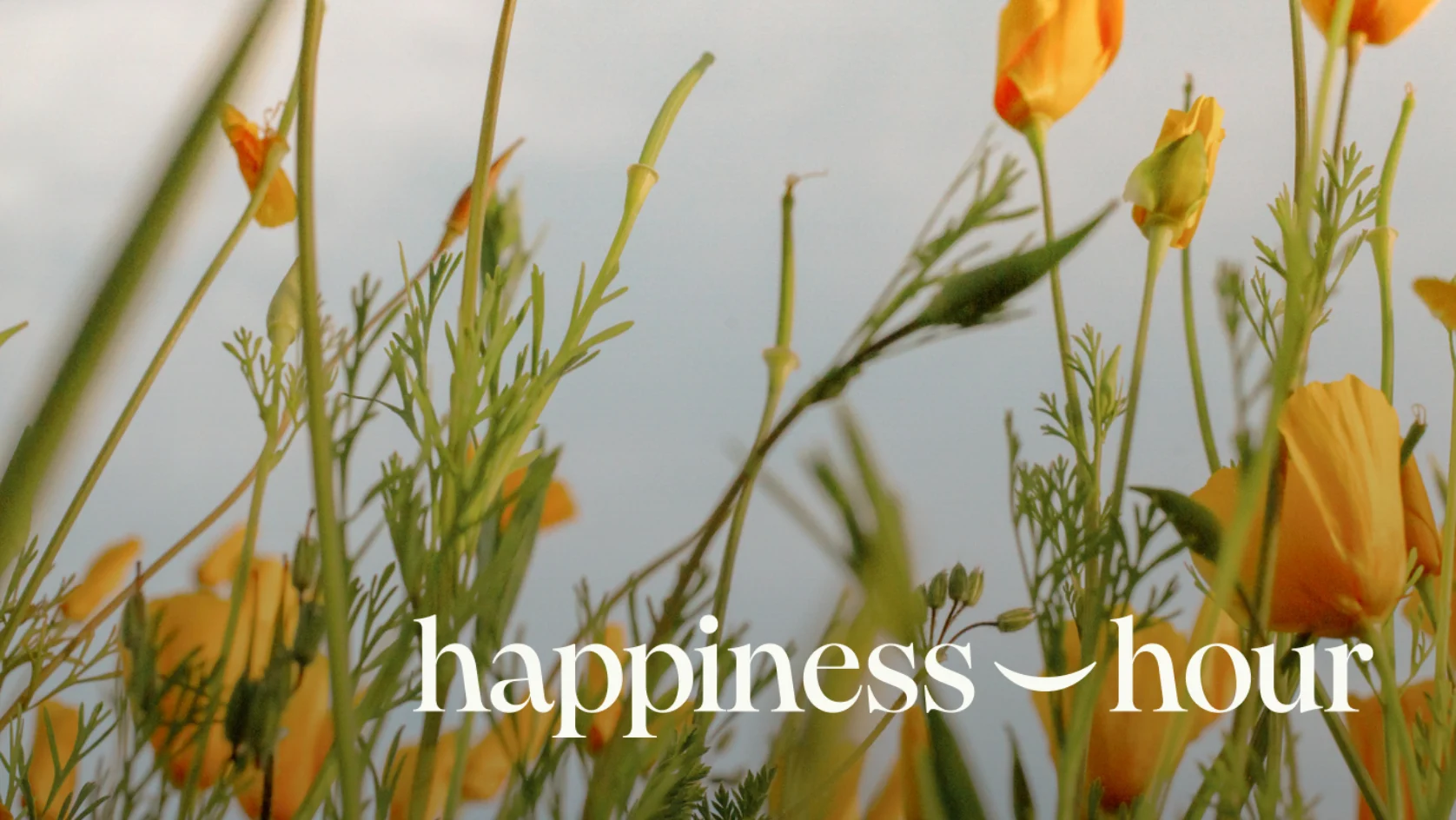 HHH with Dr. Stephanie Moore - cover image