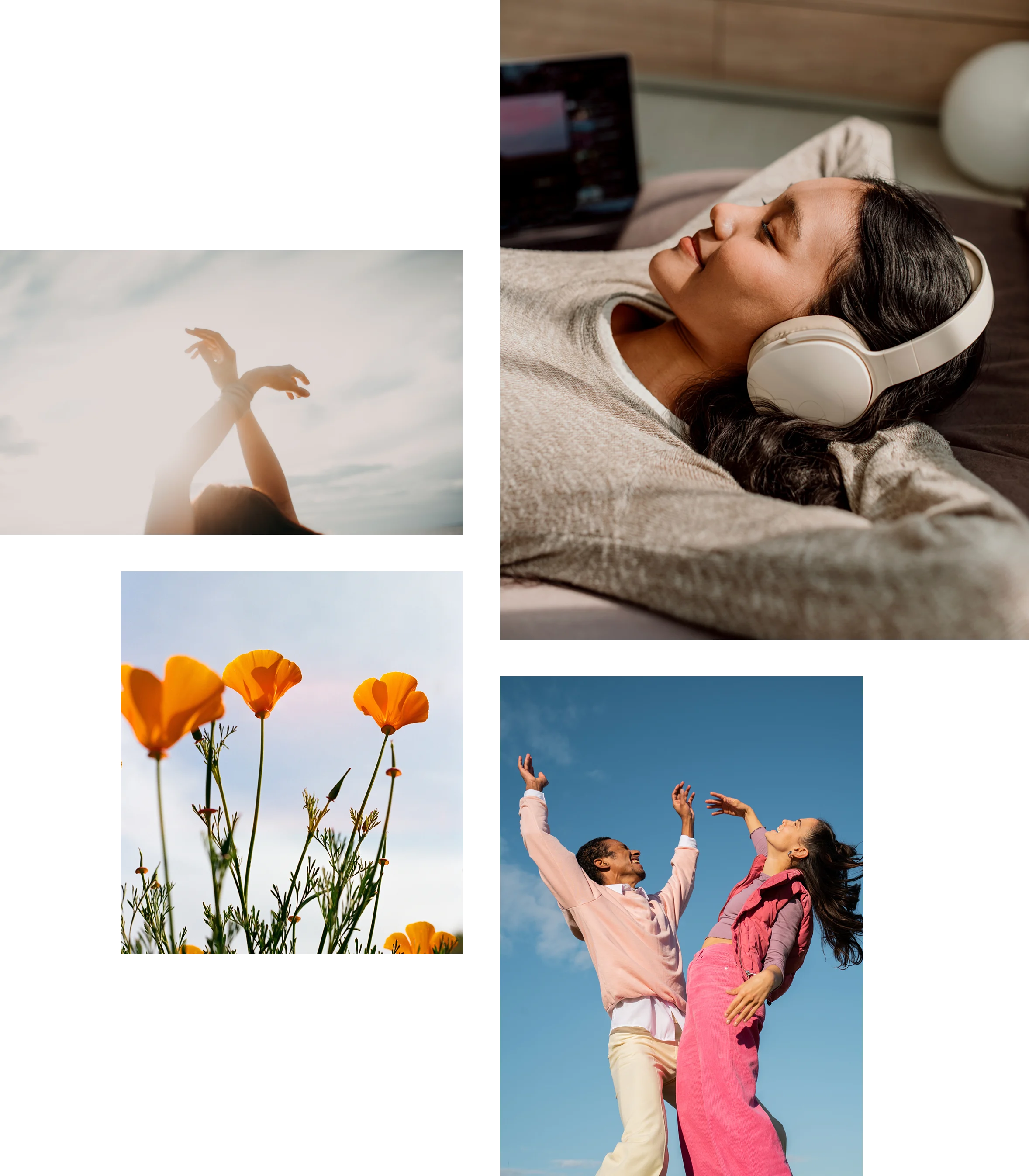 Spotify Module Images