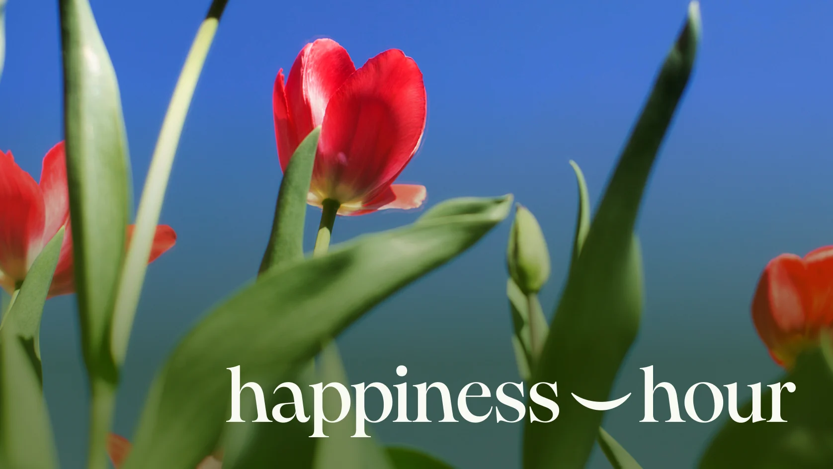 happiness-hour-4